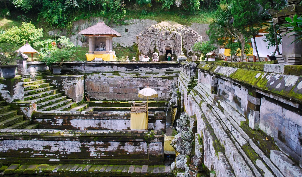 DSC_0345lum copy.jpeg