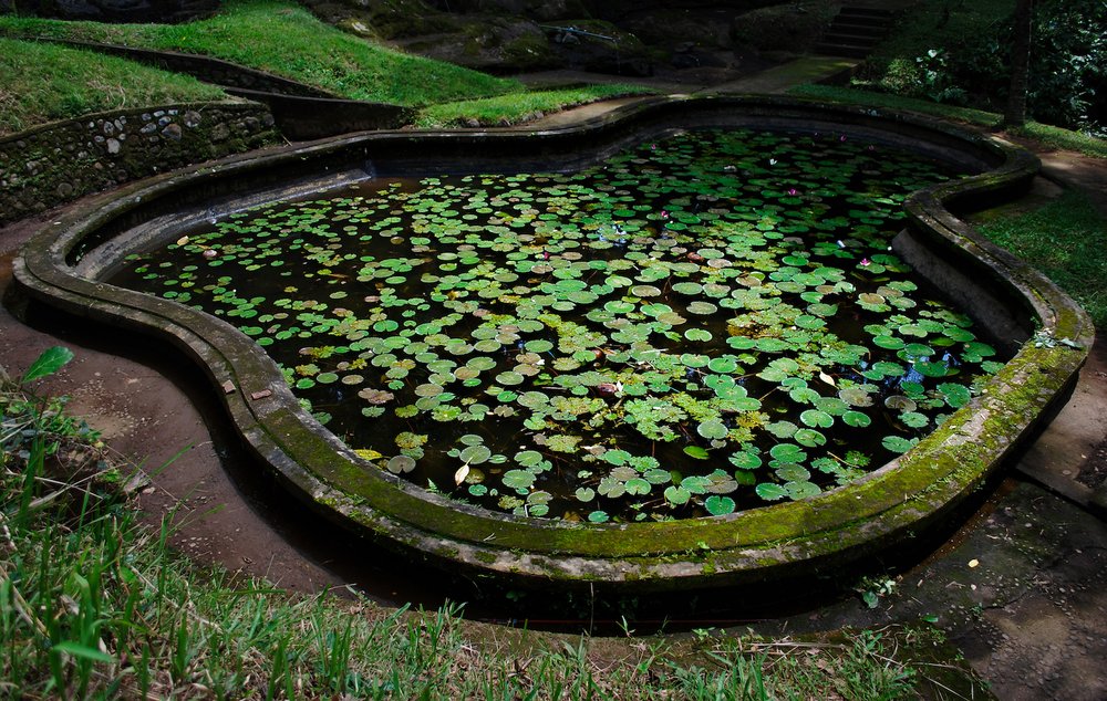 DSC_0349lum copy.jpeg