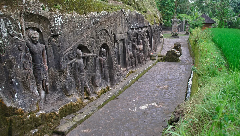 DSC_0376lum copy.jpeg