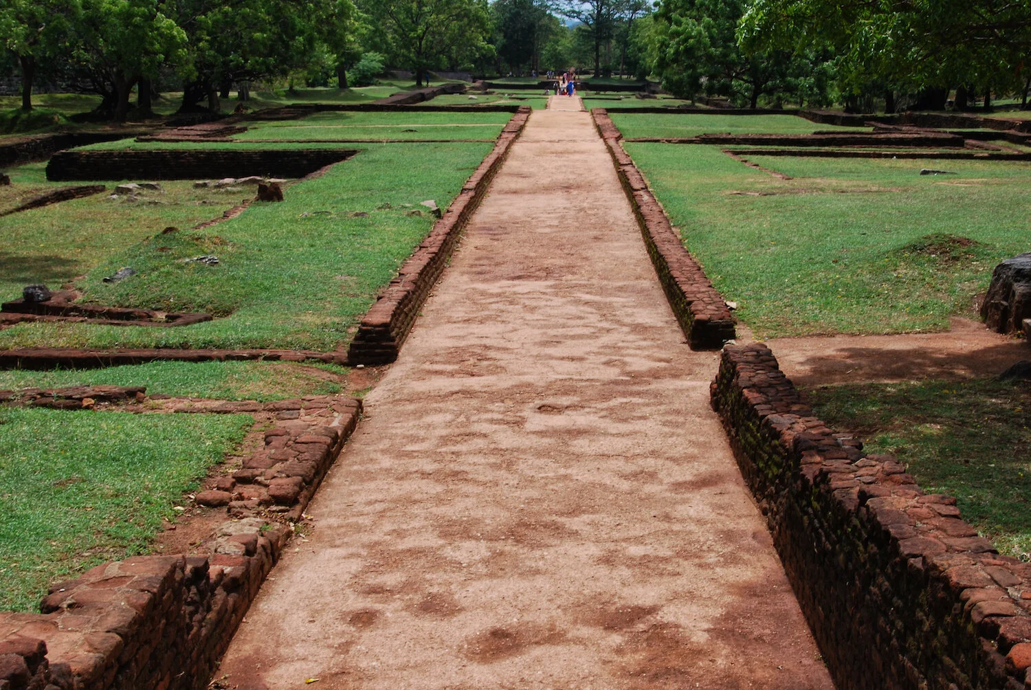 DSC_9093lum copy.jpeg