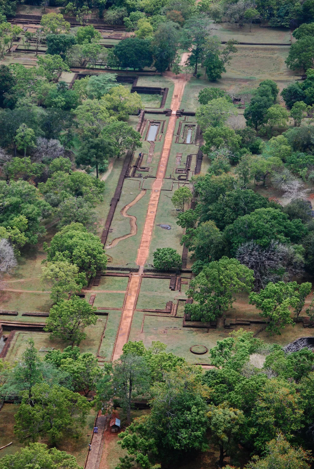 DSC_9043lum copy.jpeg