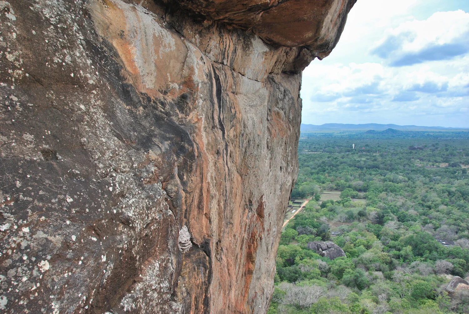 DSC_9084lum copy.jpeg