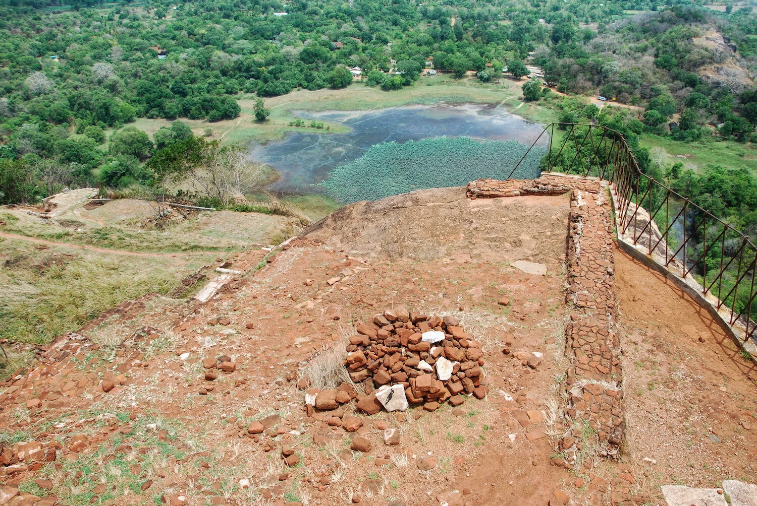 DSC_9053lum copy.jpeg