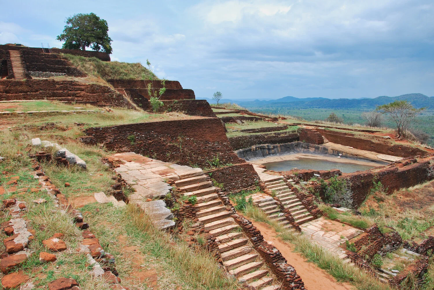 DSC_9056lum copy.jpeg