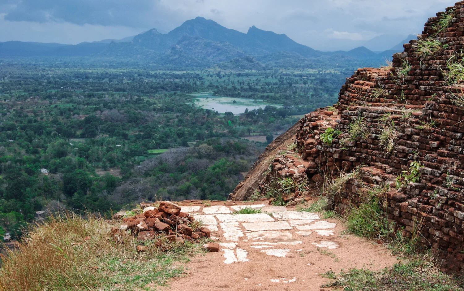 DSC_9057lum copy.jpeg