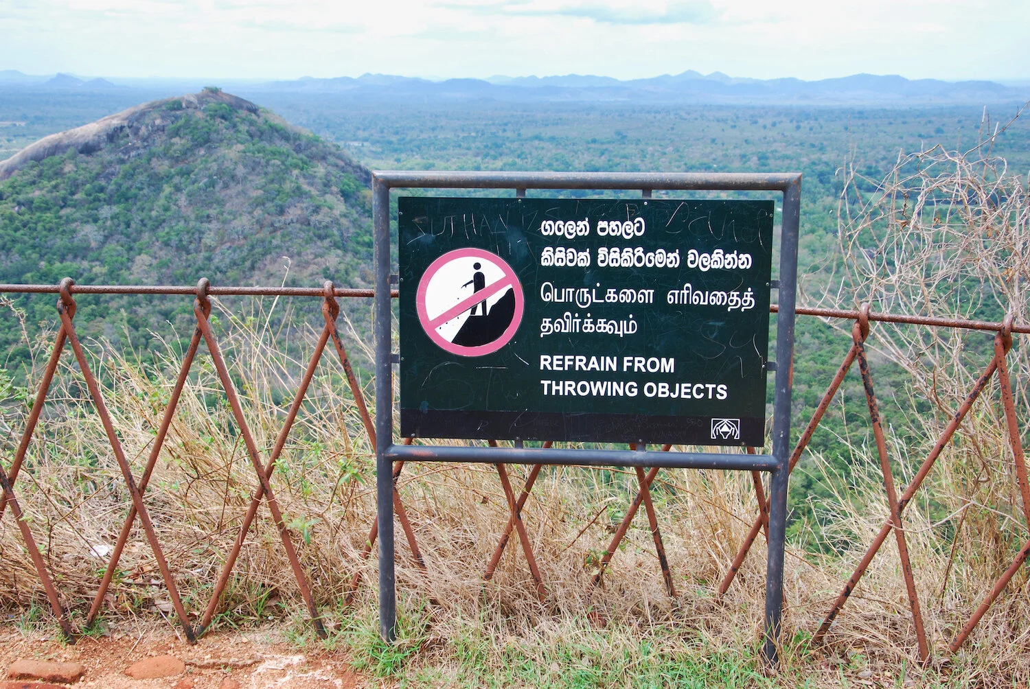 DSC_9065lum copy.jpeg