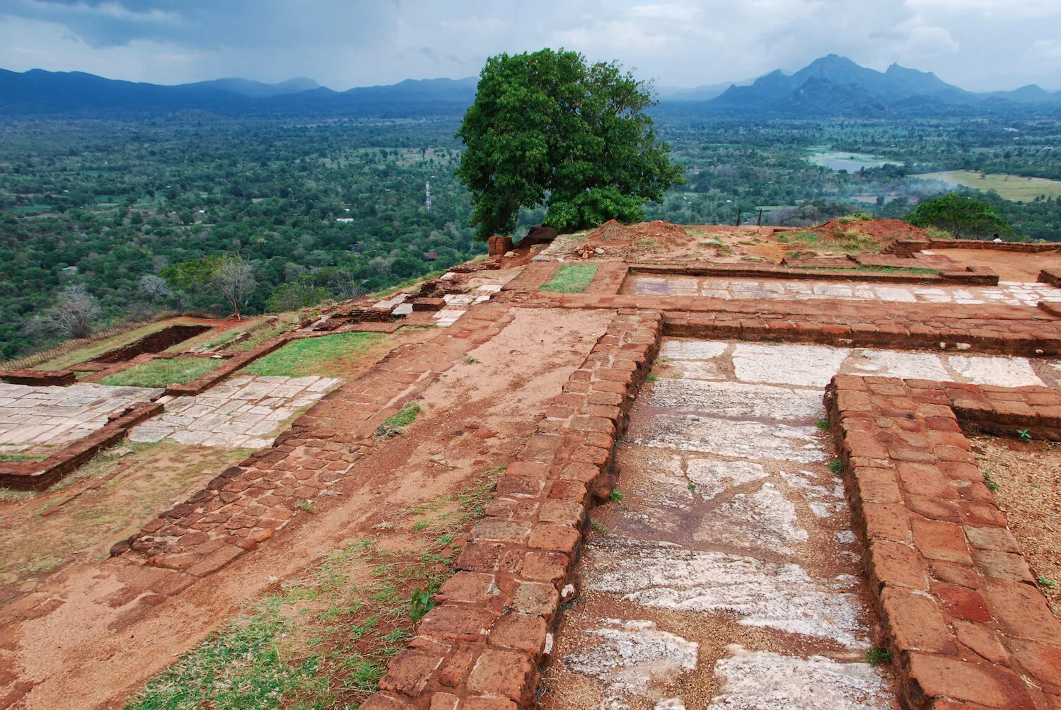 DSC_9066lum copy.jpeg