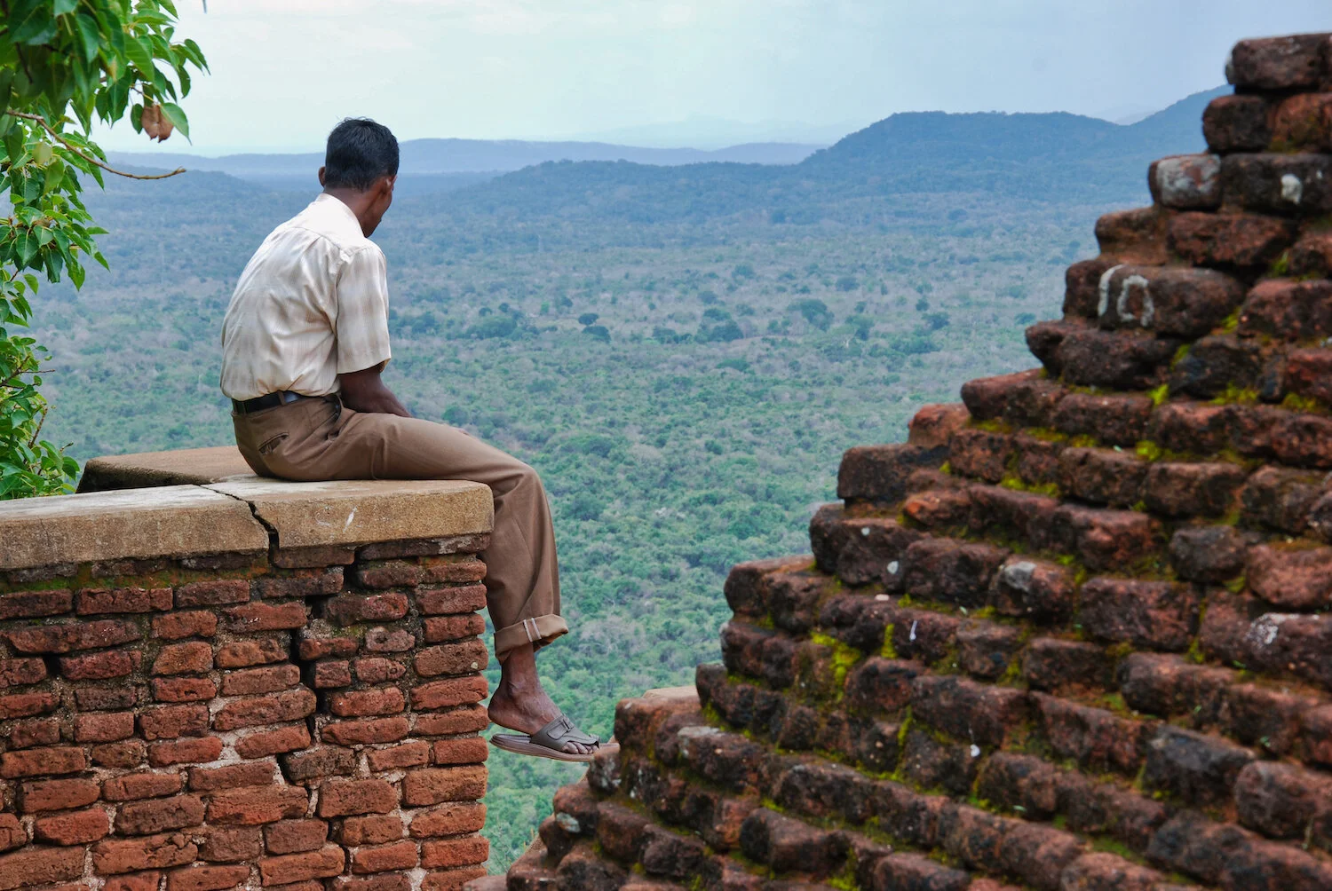 DSC_9069lum copy.jpeg