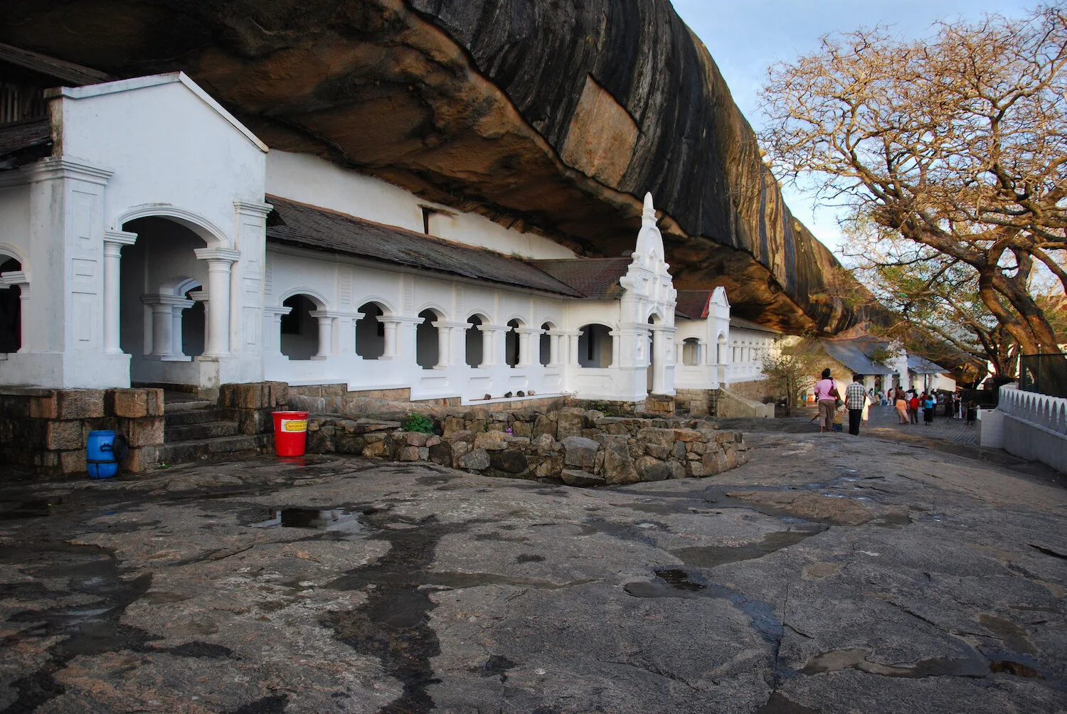 DSC_9151lum copy.jpeg