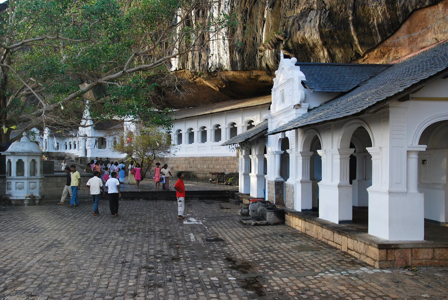 DSC_9149lum copy.jpeg