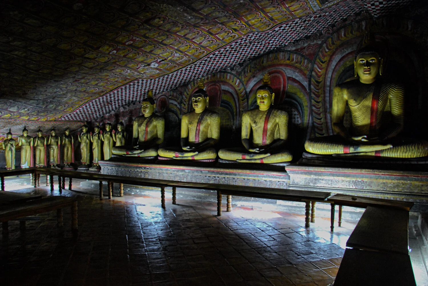 DSC_9110lum copy.jpeg