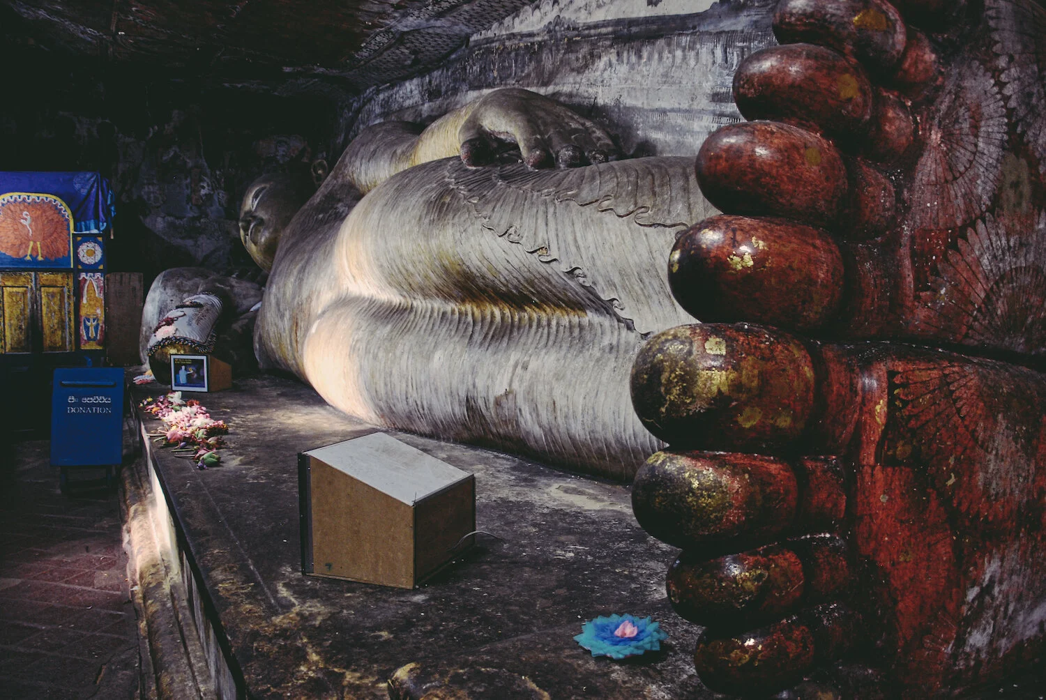 DSC_9144lum4genius copy.jpeg