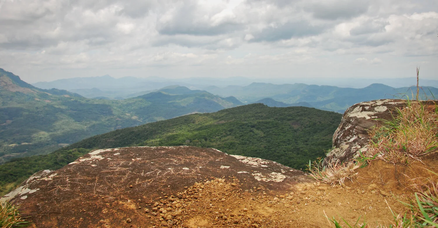 DSC_9193lum copy.jpeg