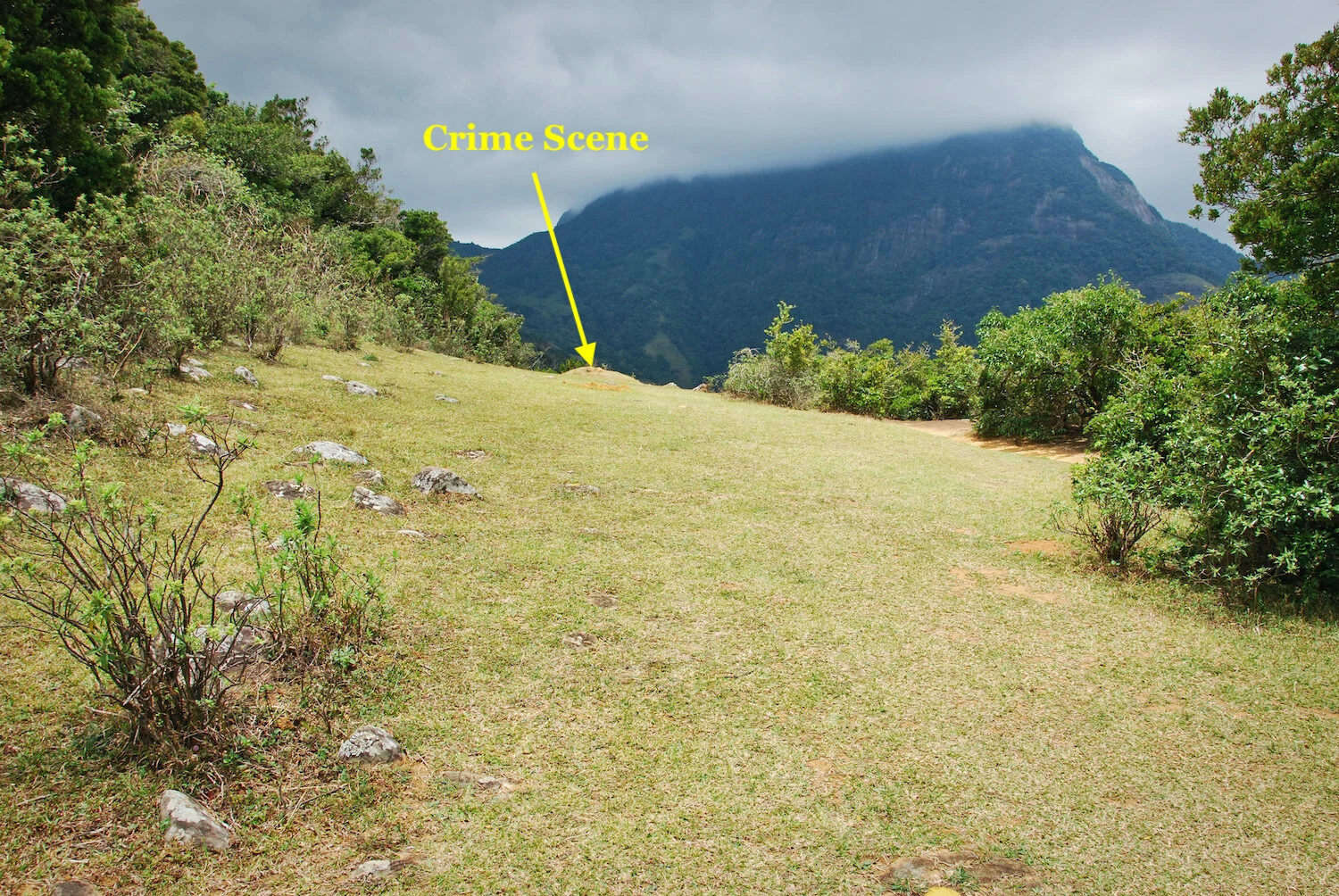 DSC_9199lum copy 2.jpg