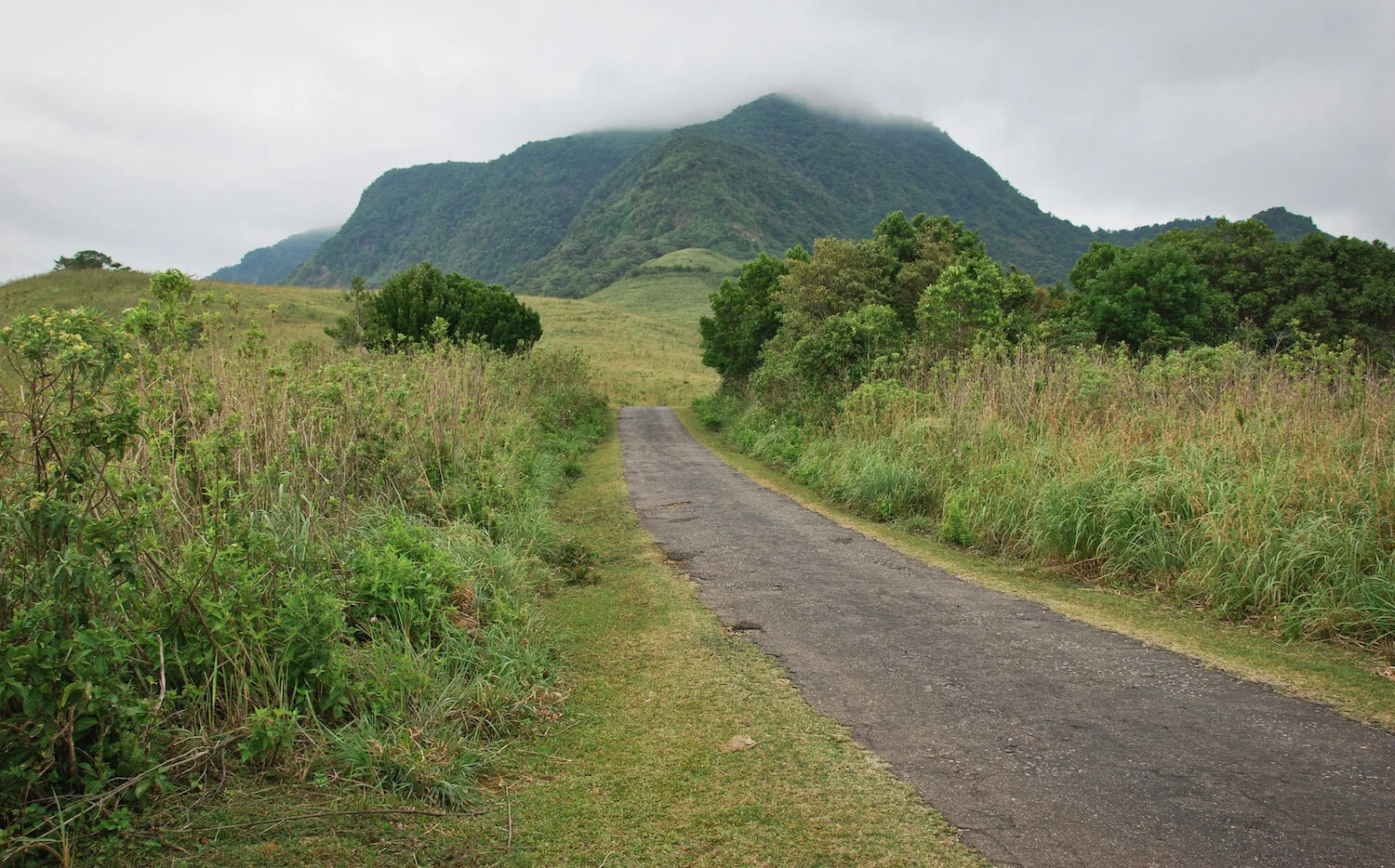 DSC_9201lum copy.jpeg