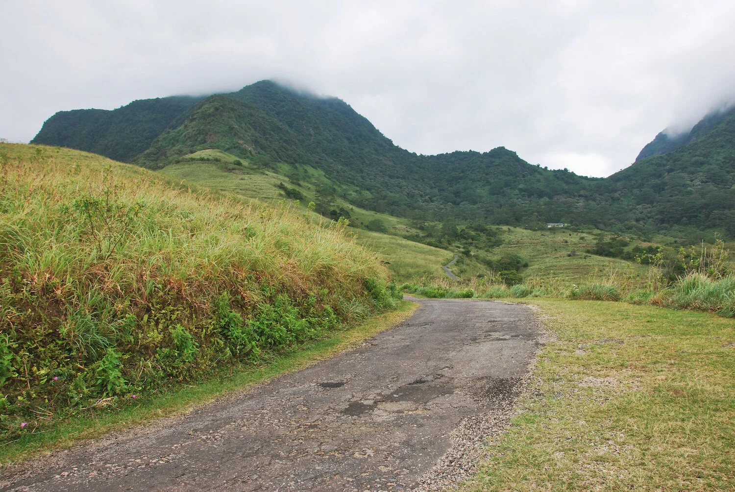 DSC_9203lum copy.jpeg