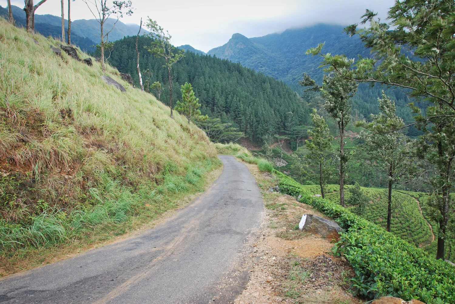 DSC_9212lum copy.jpeg