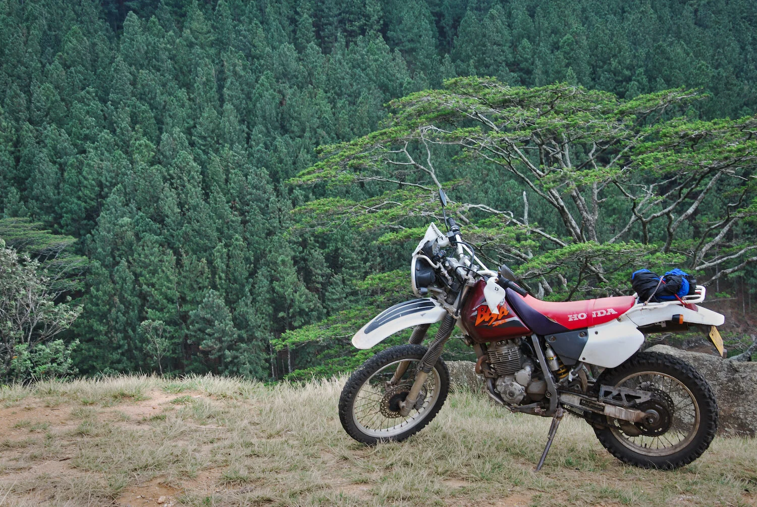 DSC_9213lum copy.jpeg