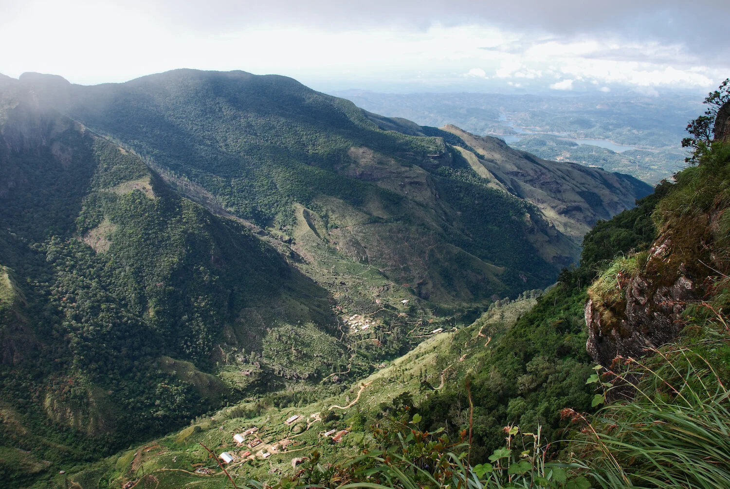 DSC_9269lum2redtrace copy.jpeg