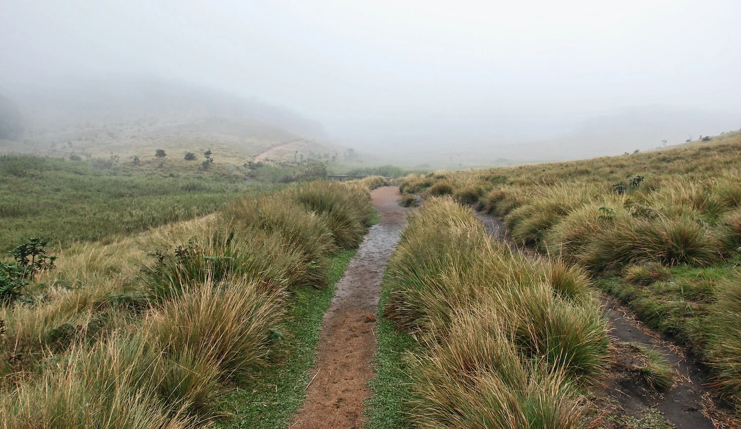 DSC_9286lum2redtrace copy.jpeg