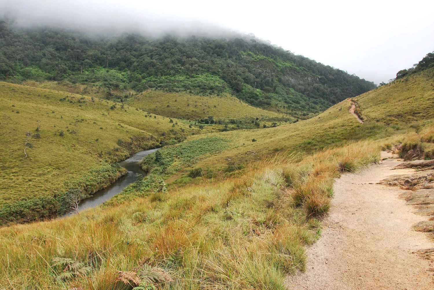 DSC_9291lum copy.jpeg