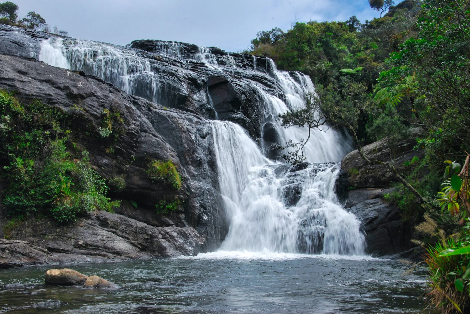 DSC_9295lum copy.jpeg