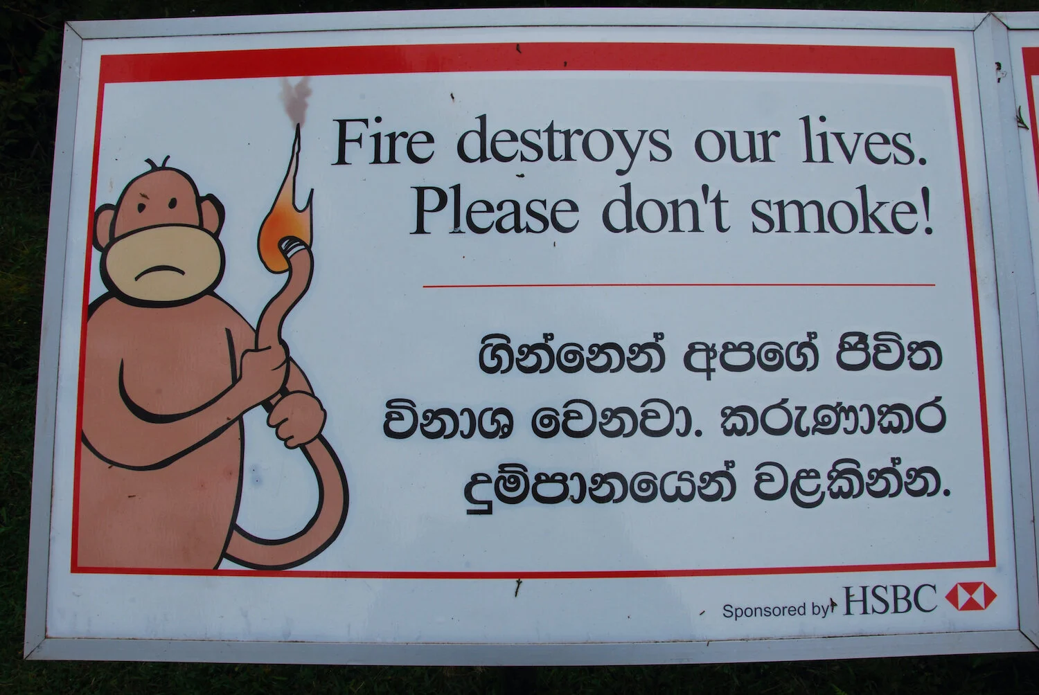 DSC_9311lum copy.jpeg