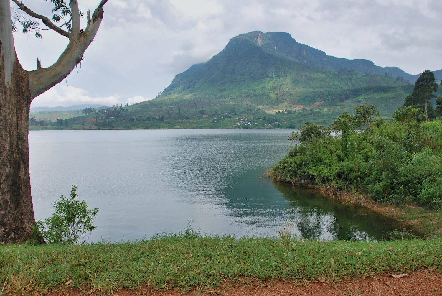 DSC_9332lum copy.jpeg