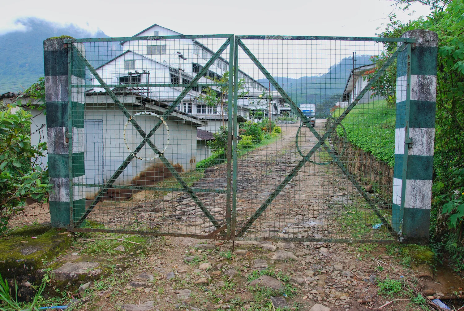 DSC_9335lum copy.jpeg