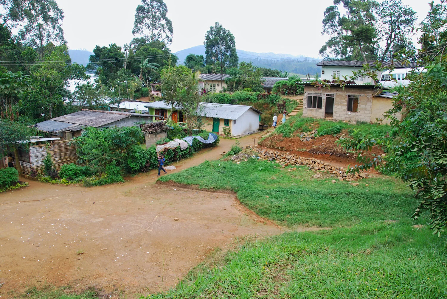 DSC_9337lum copy.jpeg