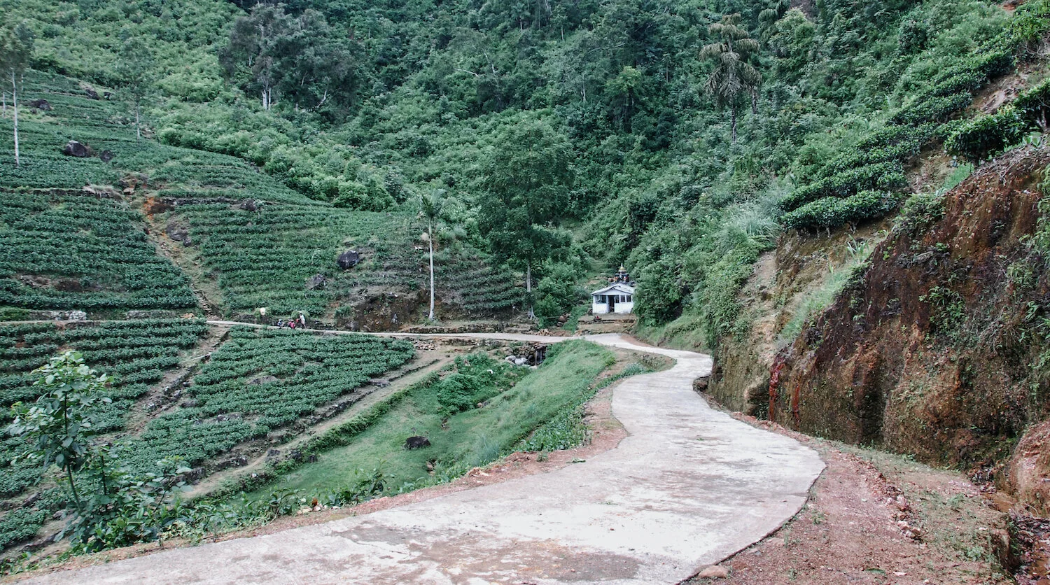 DSC_9344lum1redtrace copy.jpeg