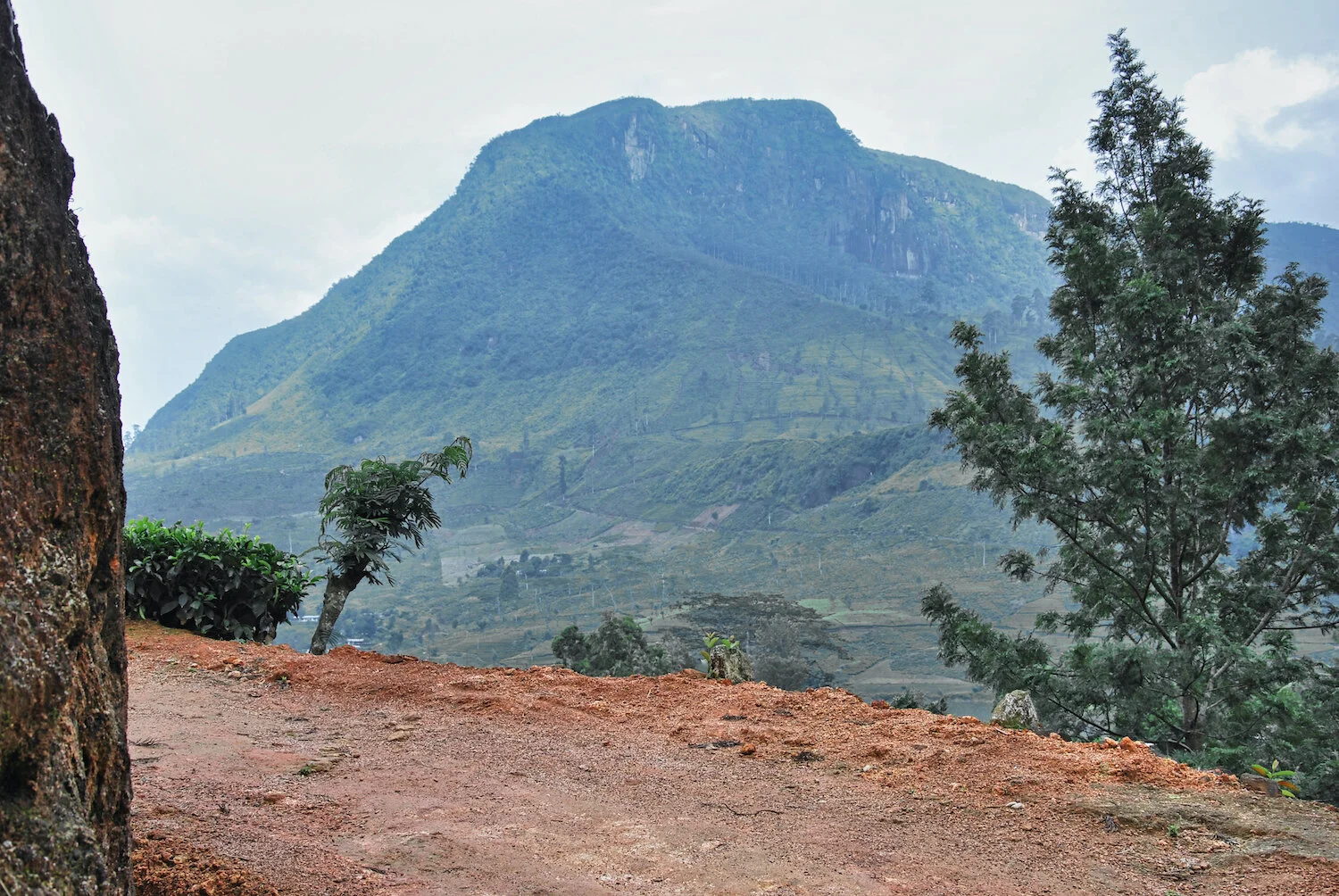 DSC_9346lum copy.jpeg