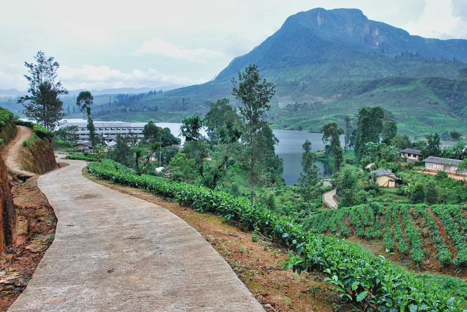 DSC_9347lum copy.jpeg