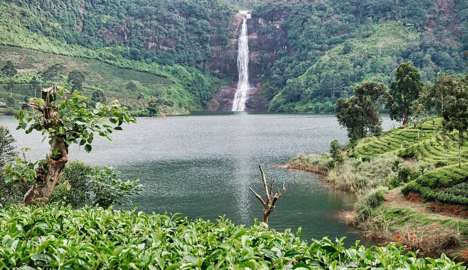 DSC_9349lum2redtrace copy.jpeg