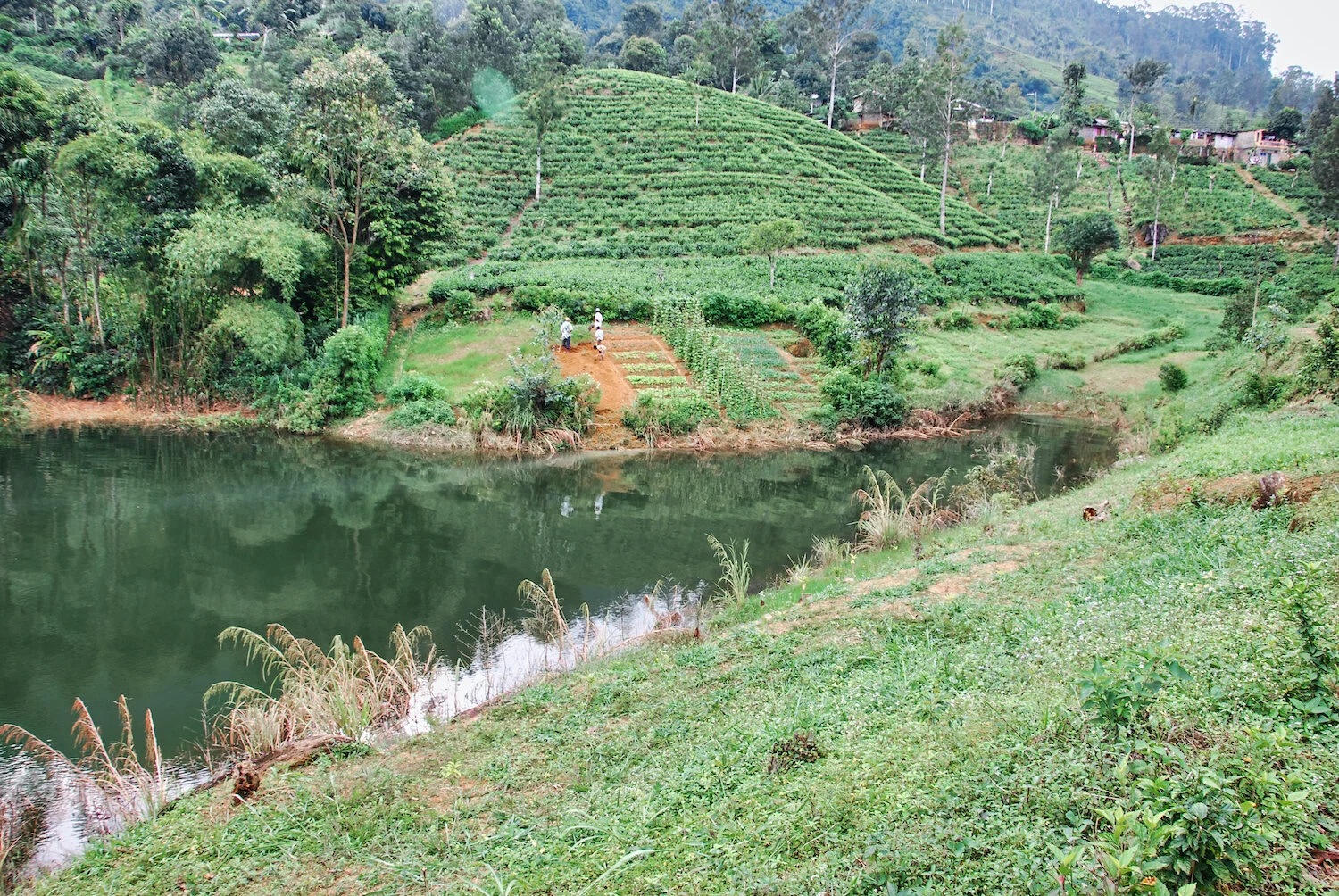 DSC_9357lum copy.jpeg