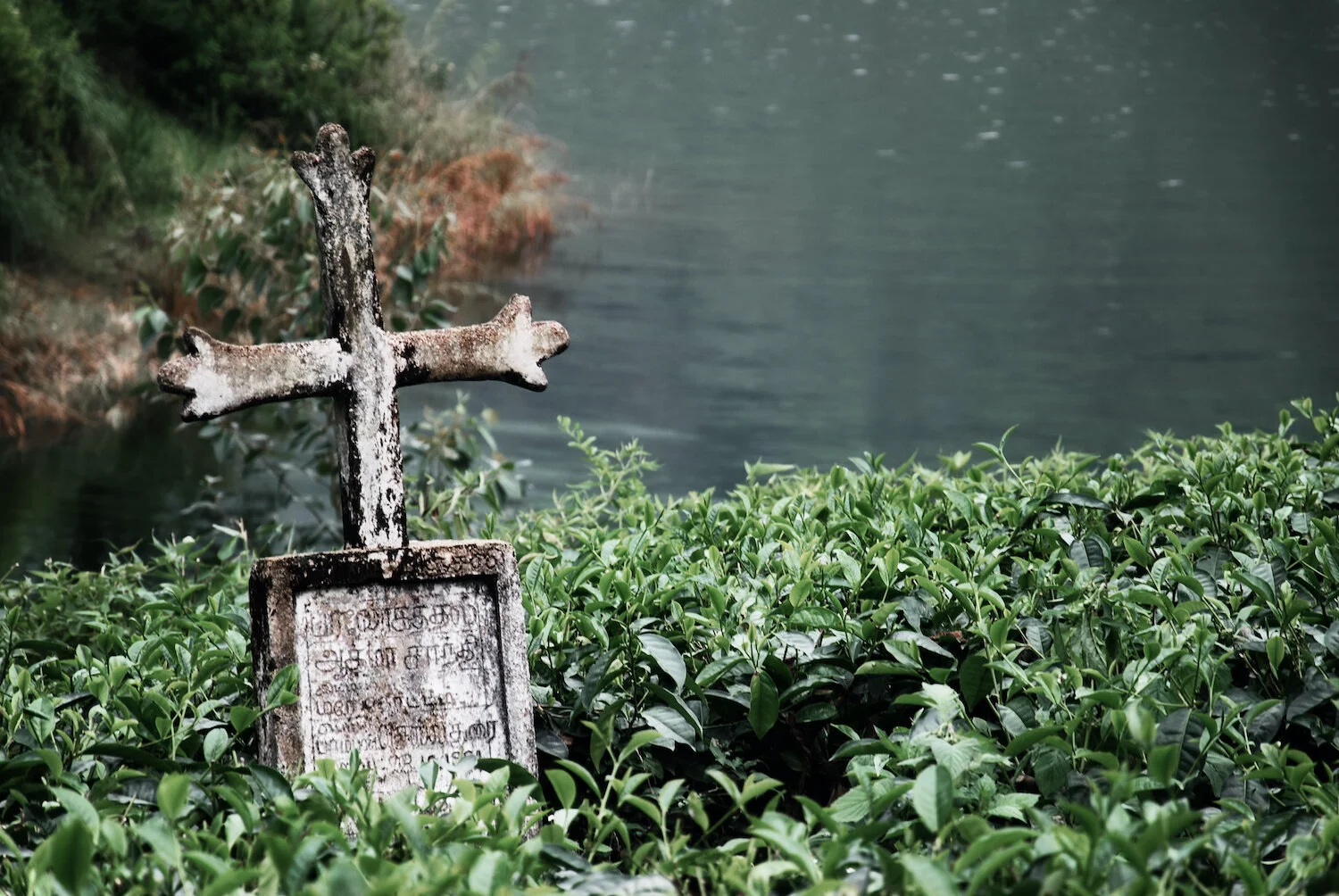 DSC_9371lum2redtrace copy.jpeg