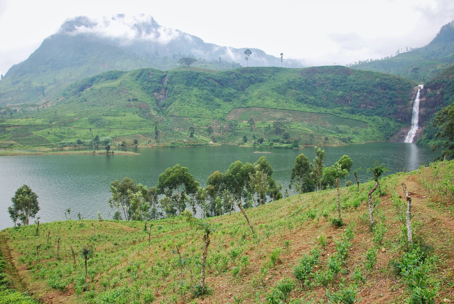 DSC_9391lum copy.jpeg