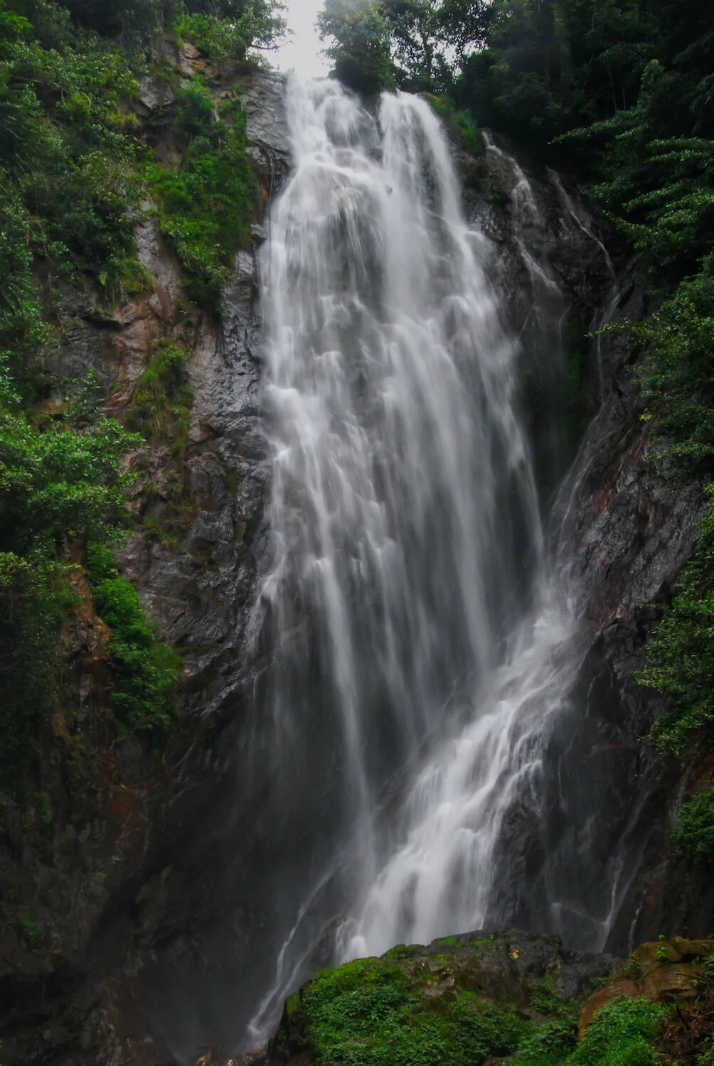 DSC_9397lum copy.jpeg