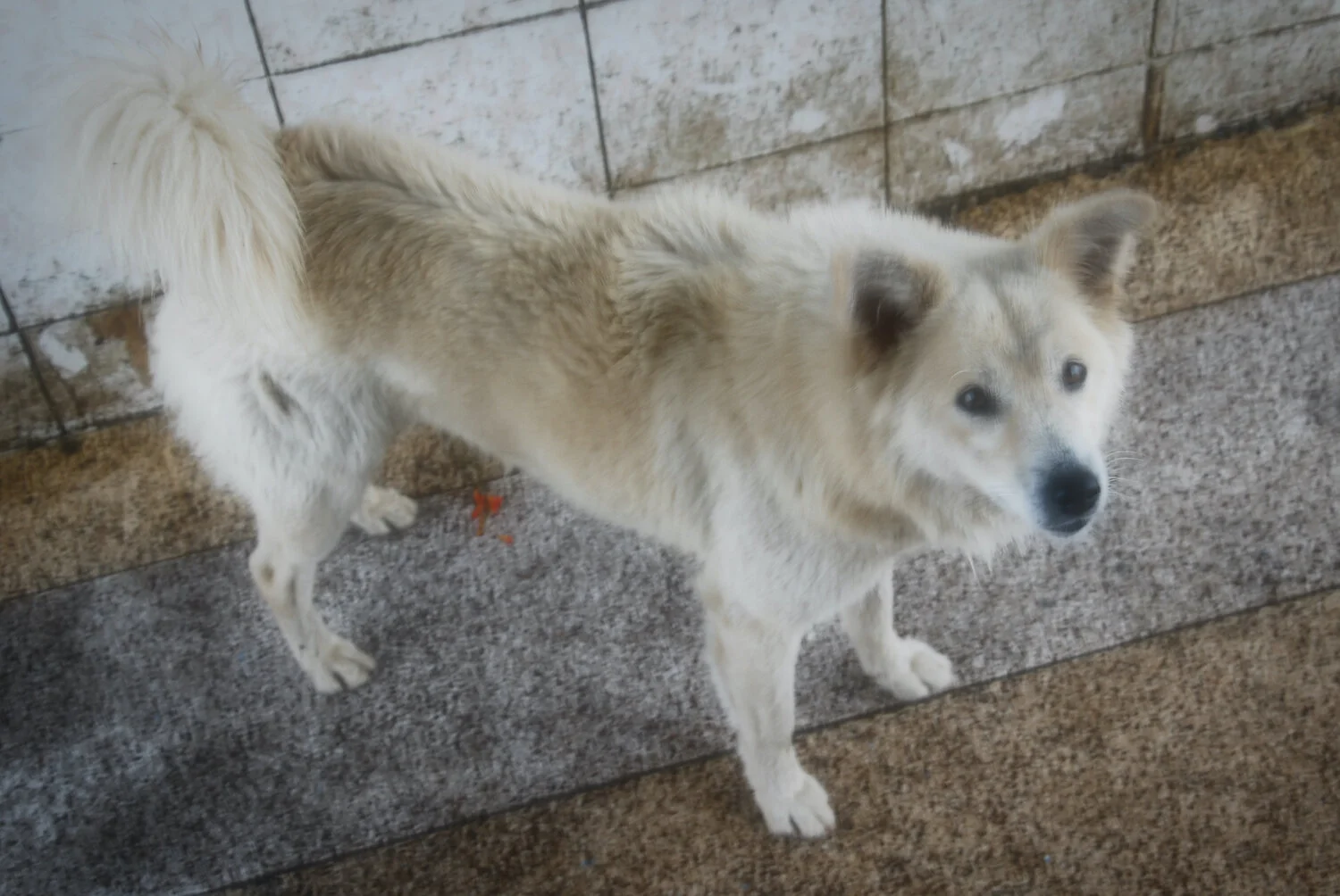 DSC_9411lum copy.jpeg