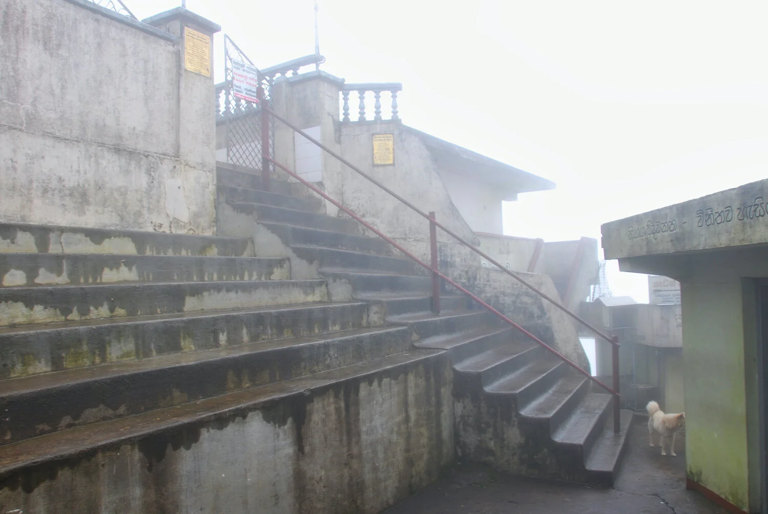 DSC_9417lum copy.jpeg