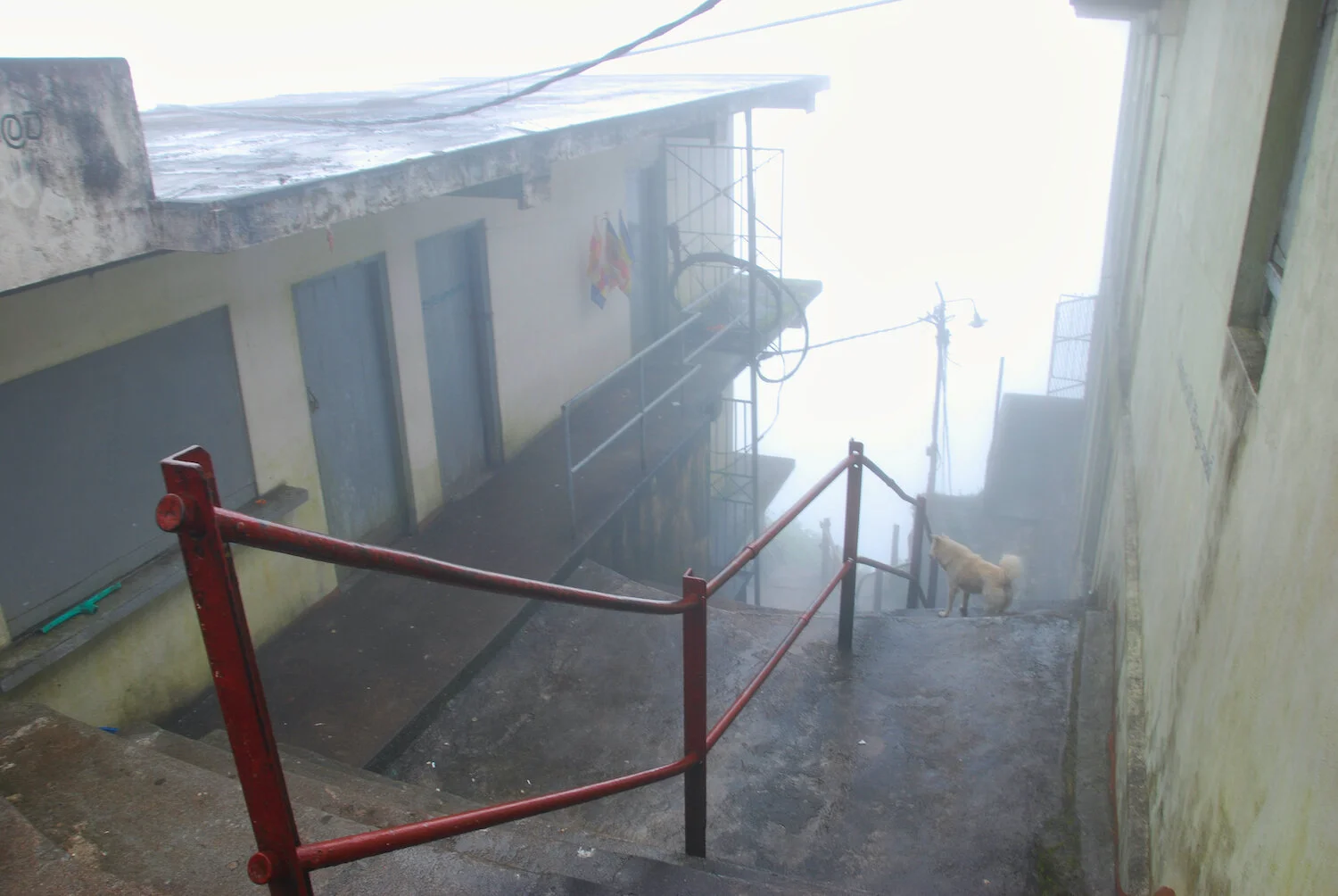 DSC_9418lum copy.jpeg