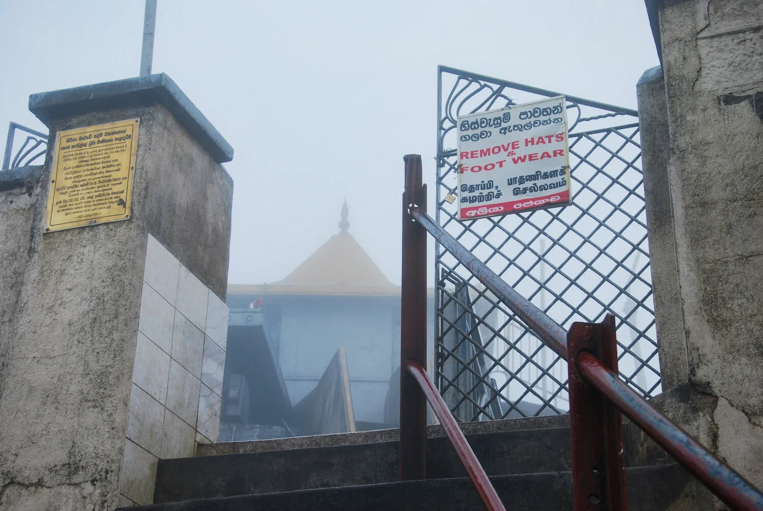 DSC_9419lum copy.jpeg