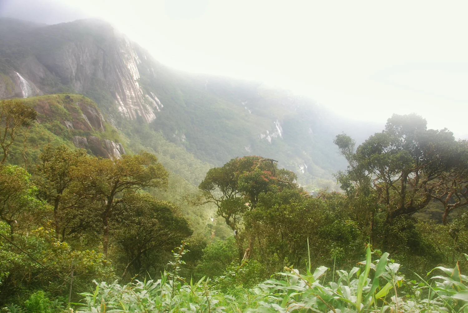 DSC_9422lum copy.jpeg