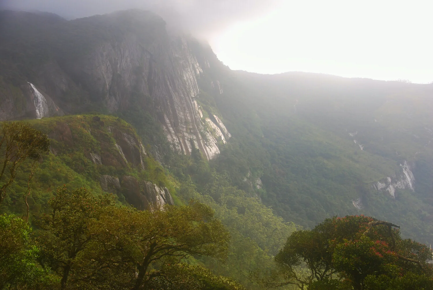 DSC_9423lum copy.jpeg