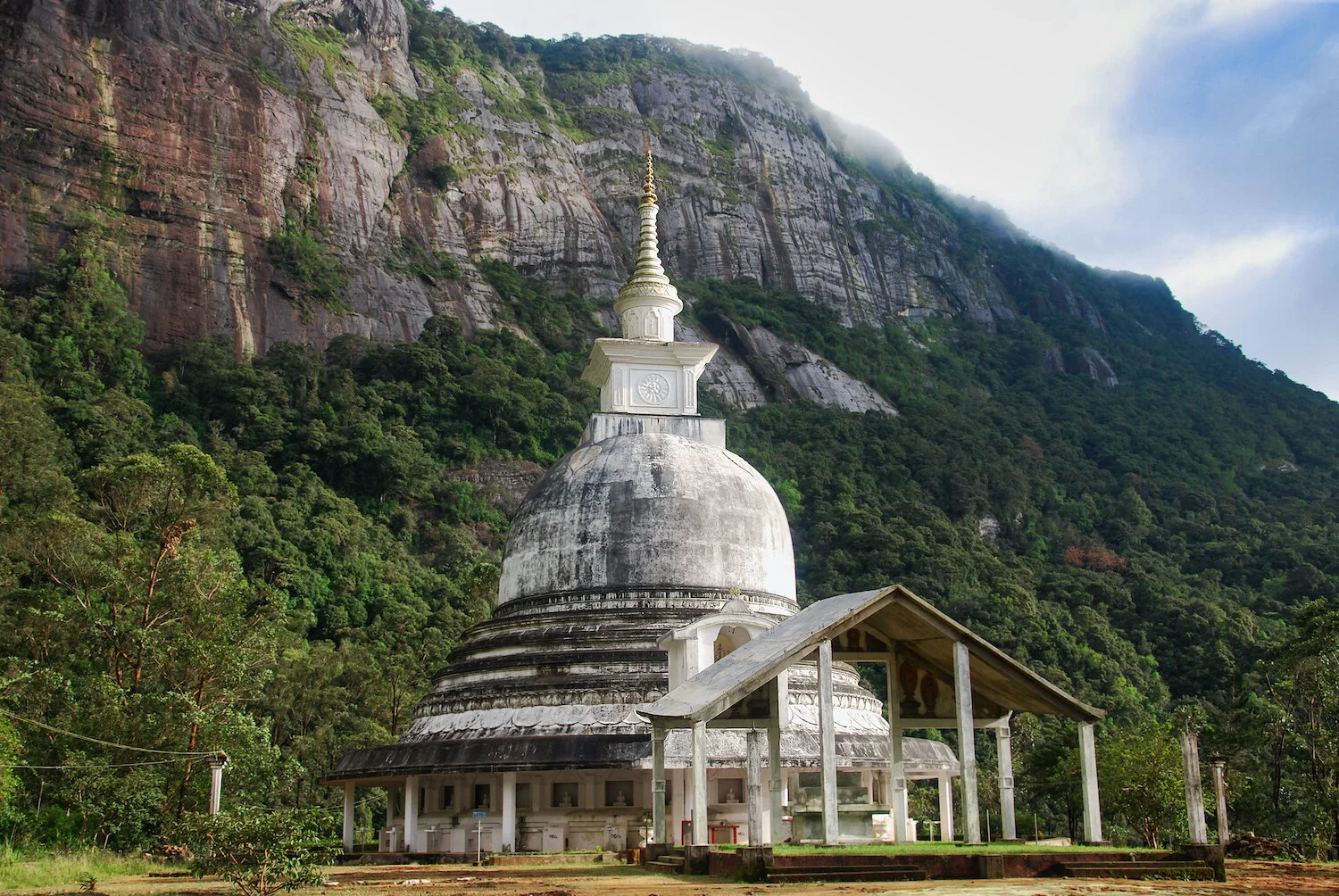 DSC_9425lum copy.jpeg