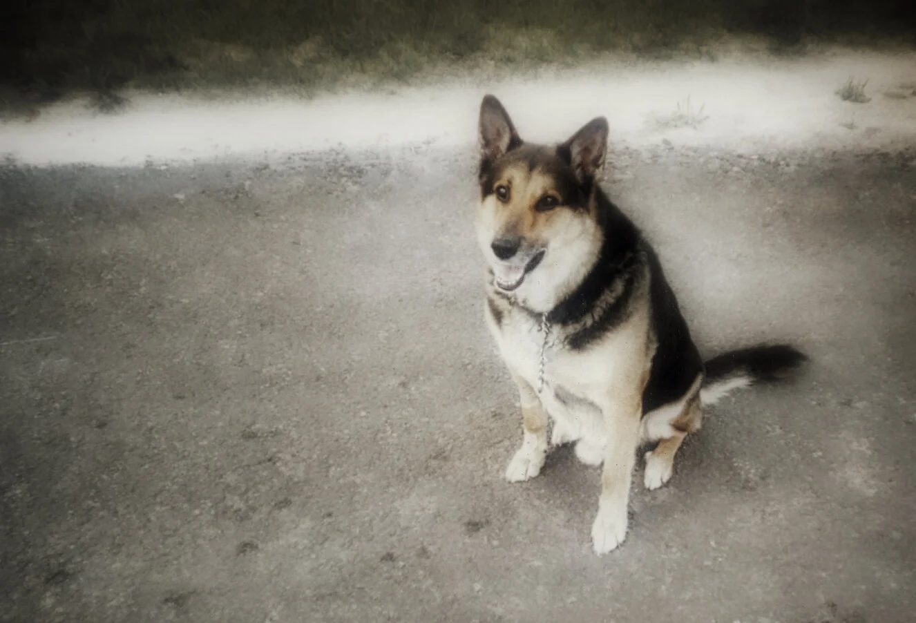 img109lum3 copy.jpeg