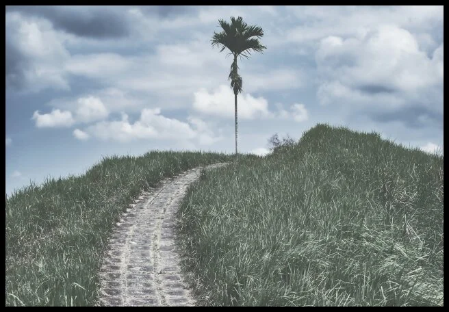 66 - Selamat Tinggal Indonesia!