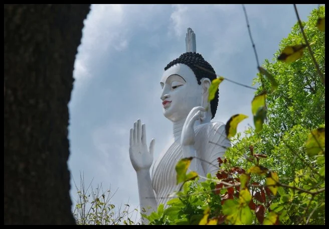 70 - Wrong Turn, Right Way (Negombo to Anuradhapura, Sri Lanka)