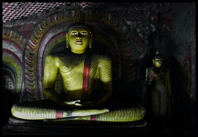 74 - Wasps, Temples, Knuckles, and Kandy (Central Sri Lanka)