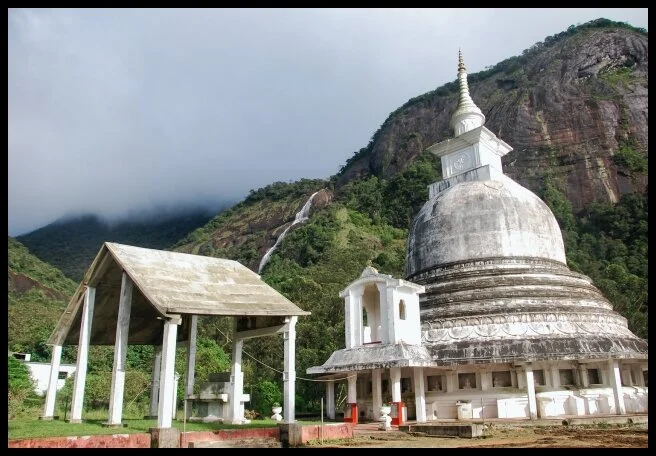 75 - World’s End & Dead Butterflies (Central Province, Sri Lanka)